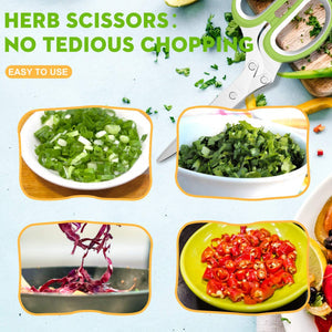 5 Blade Herb Scissors | مقص الأعشاب بخمس شفرات
