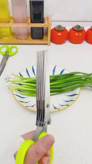 5 Blade Herb Scissors | مقص الأعشاب بخمس شفرات