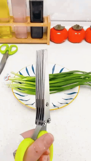 5 Blade Herb Scissors | مقص الأعشاب بخمس شفرات